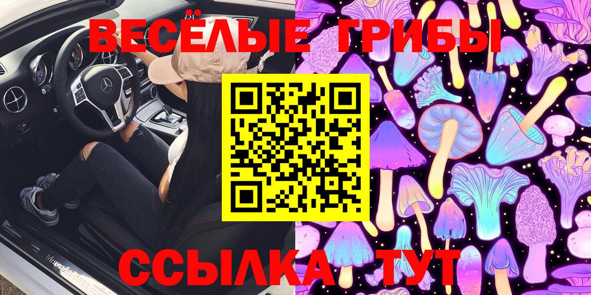 Псилоцибиновые грибы Psilocybe Алушта